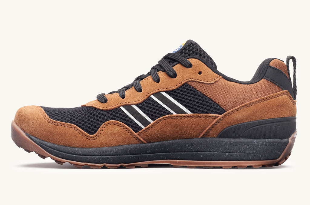 Lems Sneakers Primal Pursuit Herren Braun Schwarz | ACB8886JE